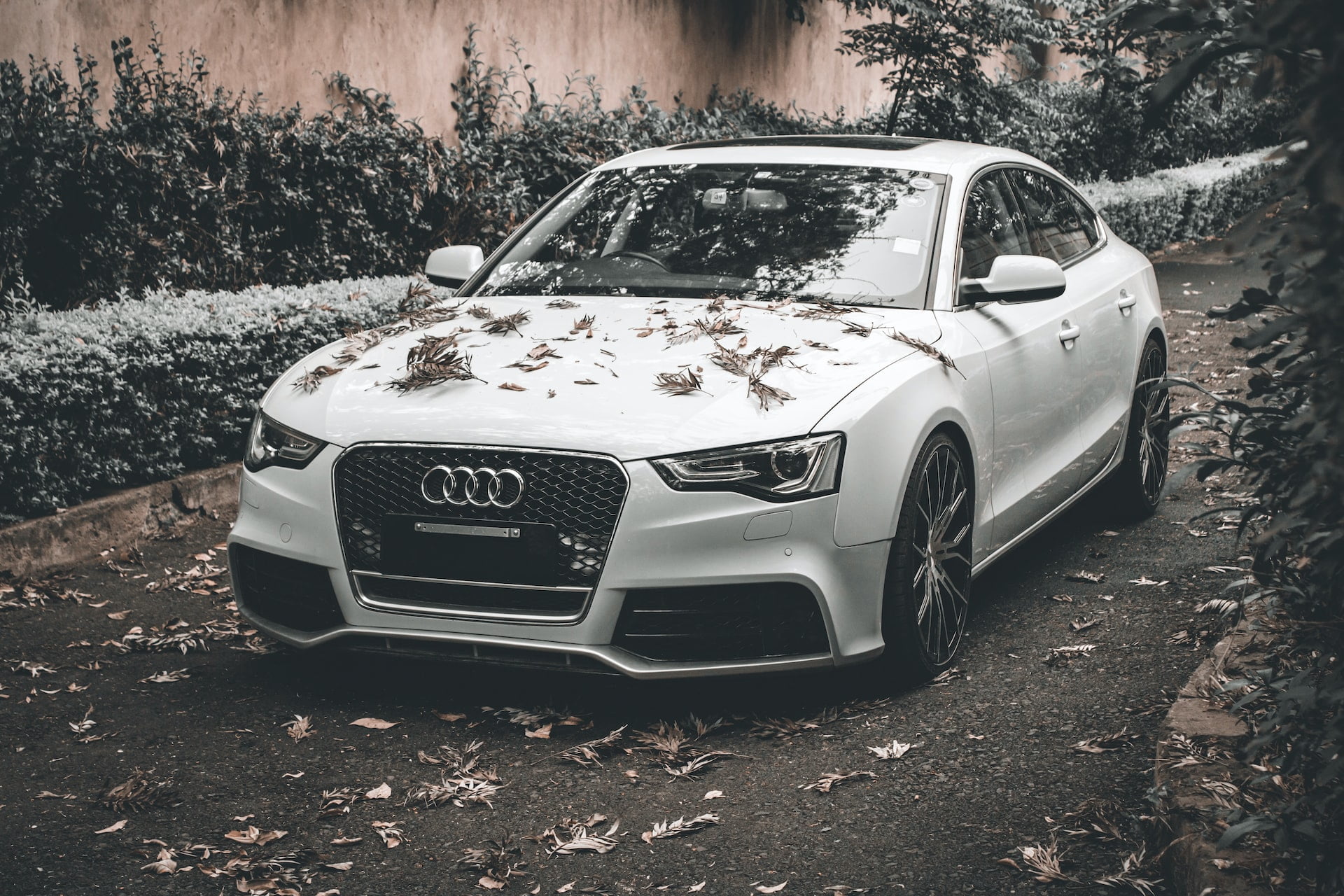 Audix A5X -Demo ad 16