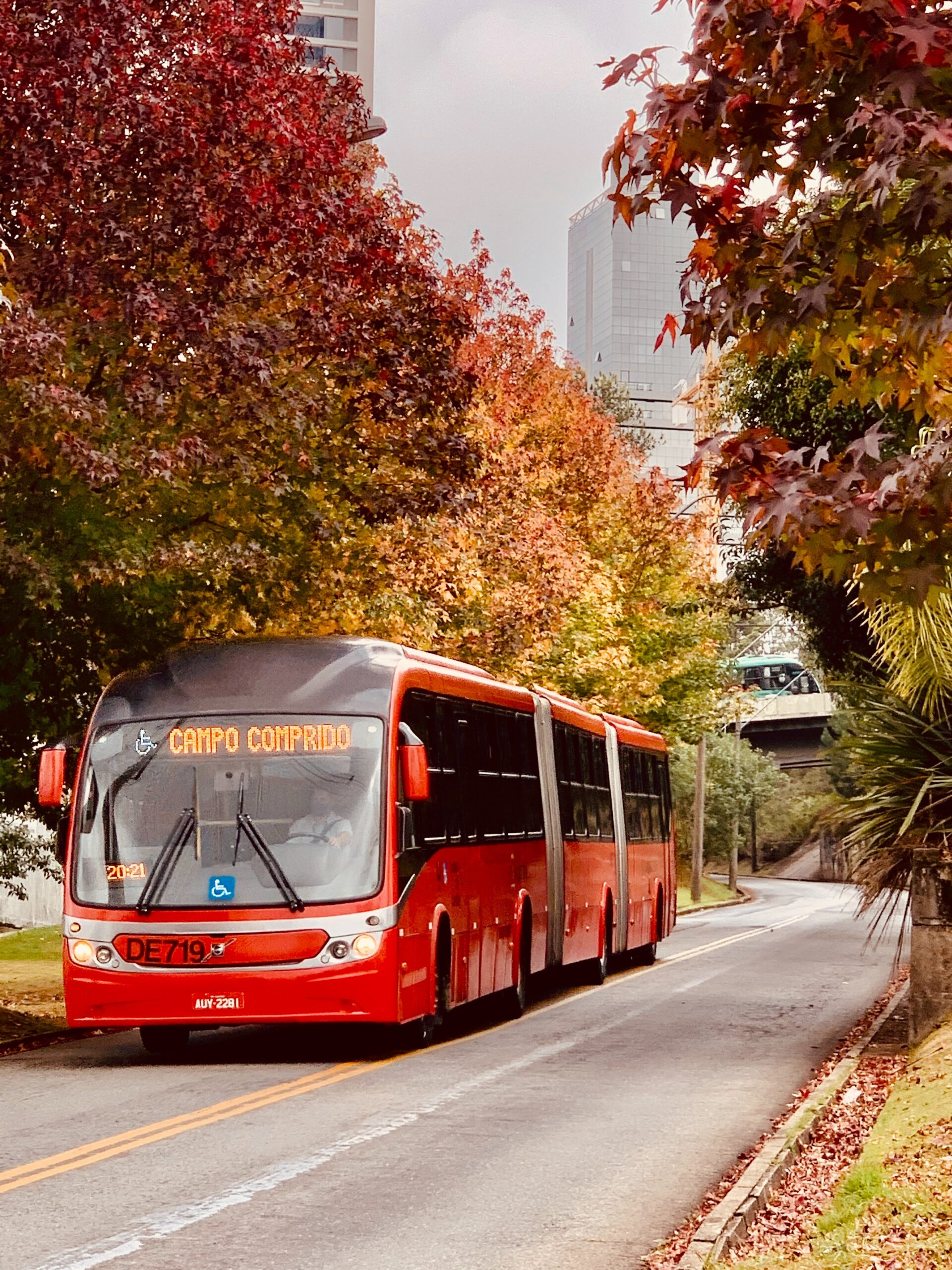 Mercedesx-Benzx – Ox 530x Gx Citarox, Euro 4, Rampe, 1. HAND – Articulated bus -Demo ad 14