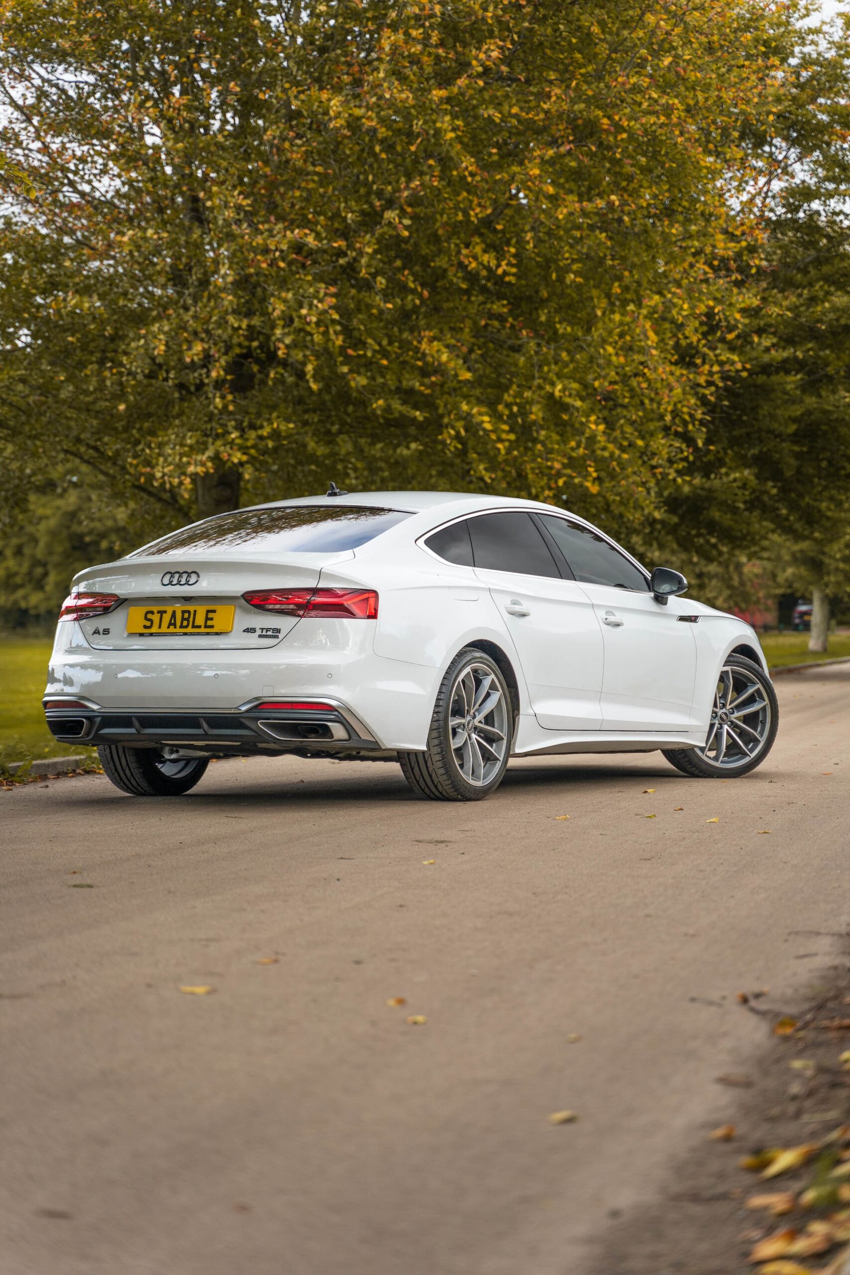 Audix A5X -Demo ad 16