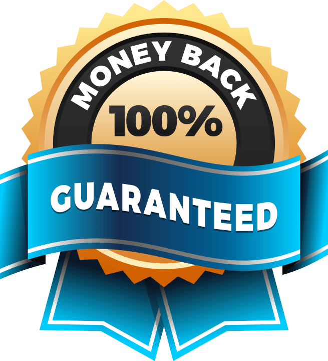 Zero to $100,000 Reseller e Book